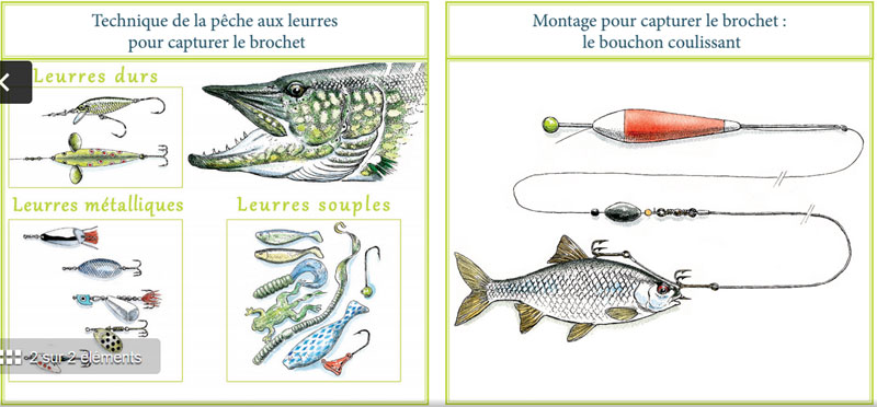 La pêche et la chasse à looukhskom la région