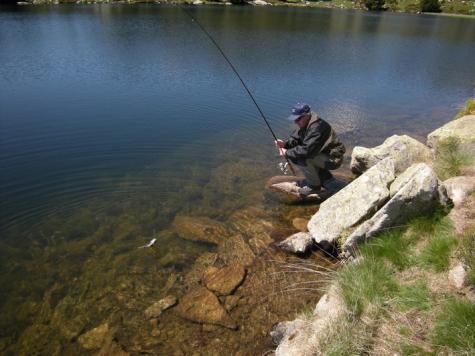 Pêche : samedi, ça va frétiller le long des berges - La République des  Pyrénées.fr