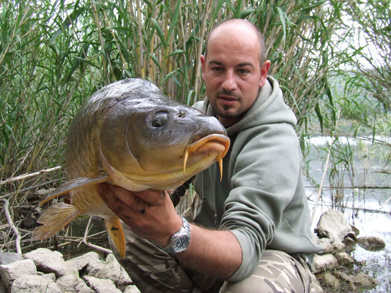 Parcours de pêche de la Carpe de nuit - Barrage de Vinça  Fédération des  Pyrénées Orientales pour la Pêche et la Protection du Millieu Aquatique