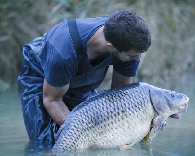 Pêche à la carpe