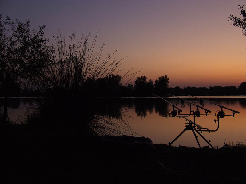 Parcours de pêche de la Carpe de Nuit Plan d'eau de Villelongue dels Monts   Fédération des Pyrénées Orientales pour la Pêche et la Protection du  Millieu Aquatique