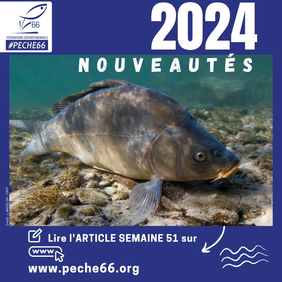 Ouverture de la pêche à la truite 2024 - Leurre de la pêche