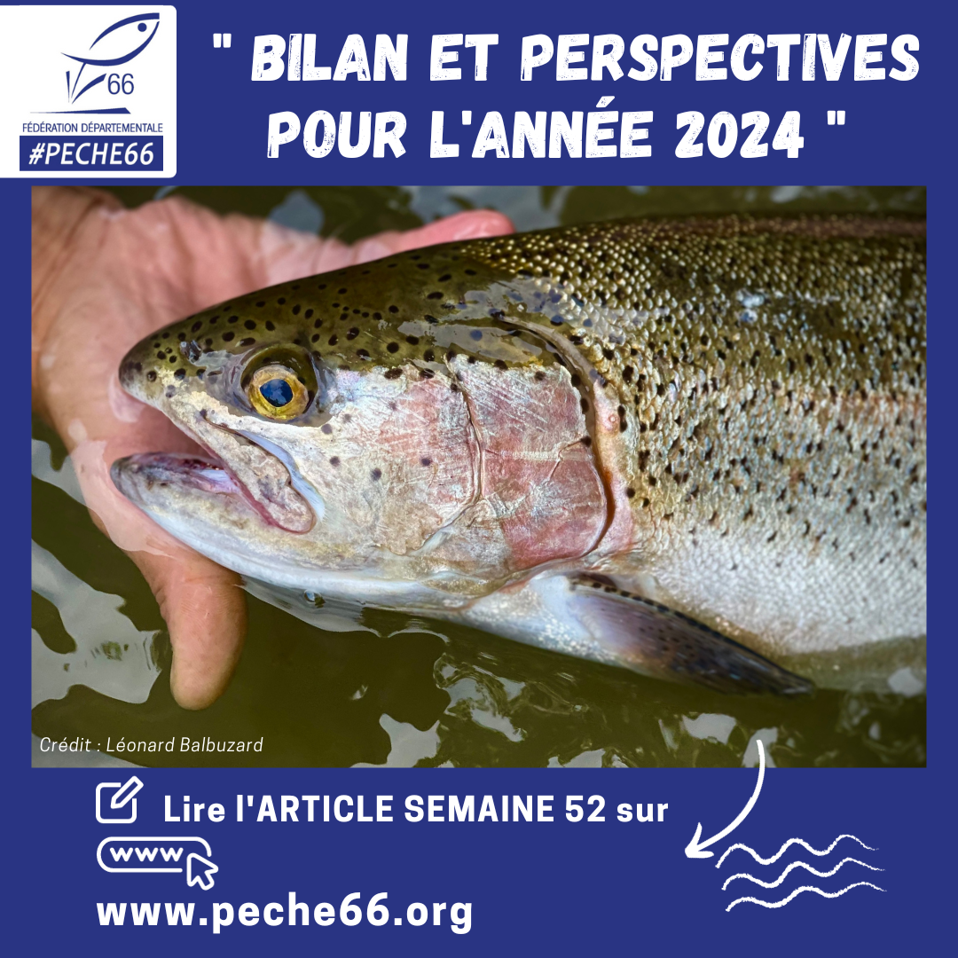 Bilan et Perspectives pour l'Année 2024  Fédération des Pyrénées  Orientales pour la Pêche et la Protection du Millieu Aquatique
